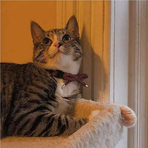 PetSoKoo - Collar para gato con campana Elegante lazo con colgante de hueso de pez. Rotura de seguridad, peso ligero, suave, duradero.