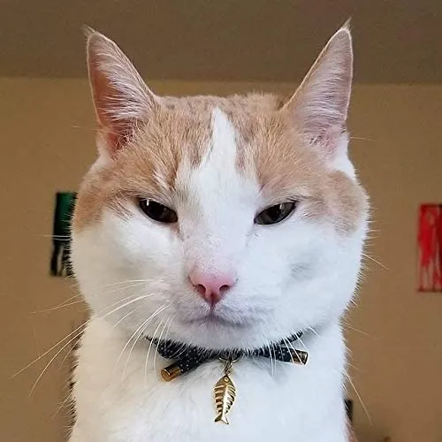 PetSoKoo - Collar para gato con campana Elegante lazo con colgante de hueso de pez. Rotura de seguridad, peso ligero, suave, duradero.