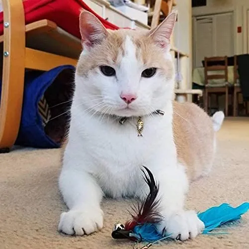 PetSoKoo - Collar para gato con campana Elegante lazo con colgante de hueso de pez. Rotura de seguridad, peso ligero, suave, duradero.