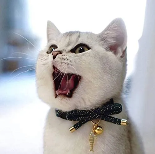 PetSoKoo - Collar para gato con campana Elegante lazo con colgante de hueso de pez. Rotura de seguridad, peso ligero, suave, duradero.