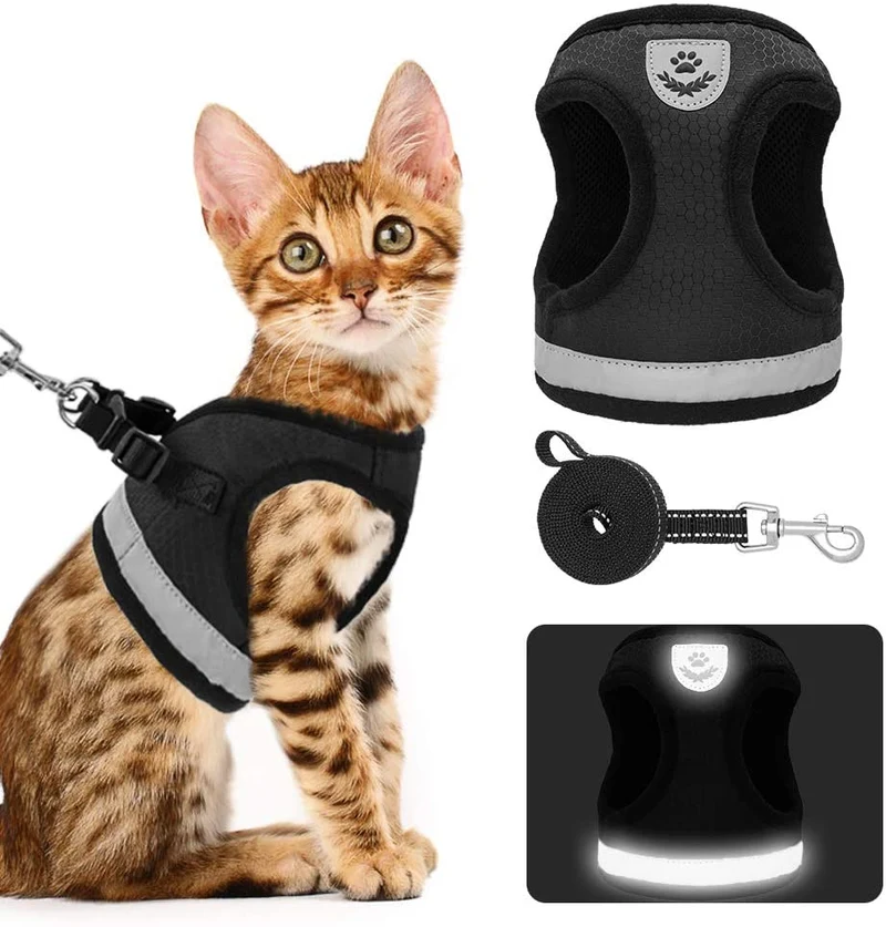 Juego de arnés y correa para gato, a prueba de escape, arneses ajustables para mascotas, para caminar, suave de malla de panal de abeja, arnés con correa reflectante que proporciona seguridad en la noche