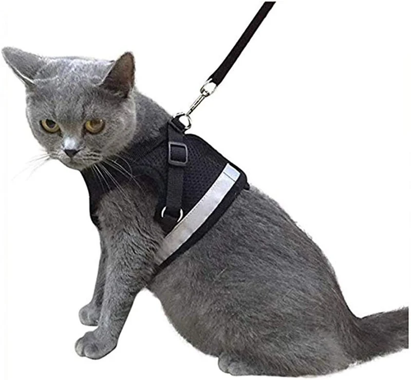 Arnés y correa para gato a prueba de fugas para caminar, chaleco ajustable de malla suave con correa para gatito, cachorro, conejo