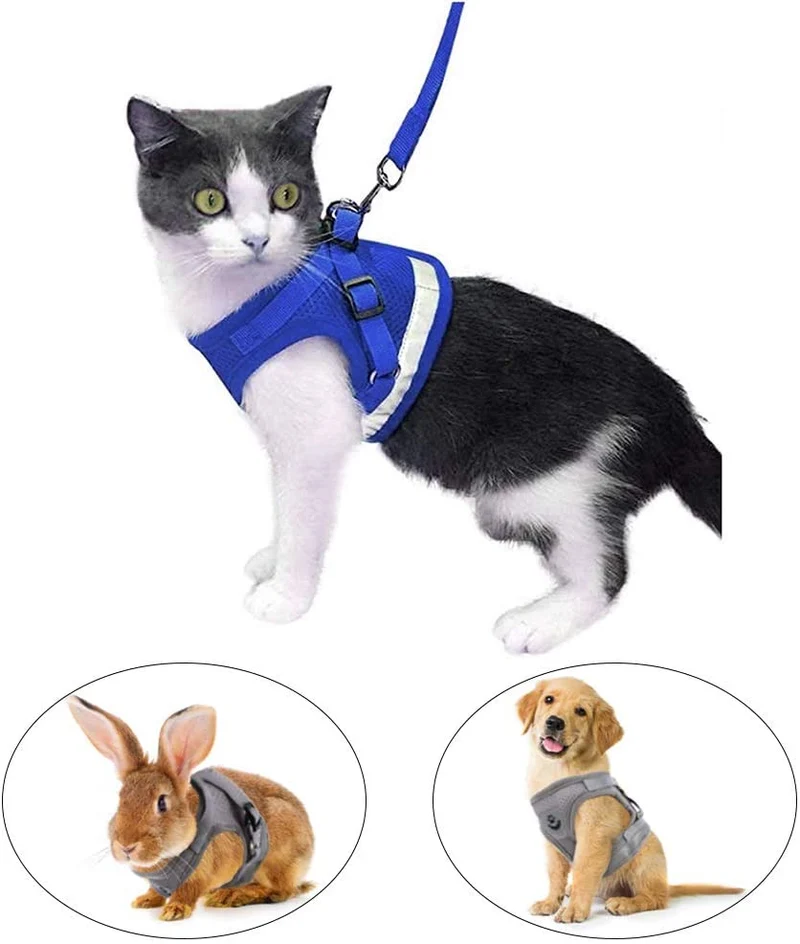 Arnés y correa para gato a prueba de fugas para caminar, chaleco ajustable de malla suave con correa para gatito, cachorro, conejo