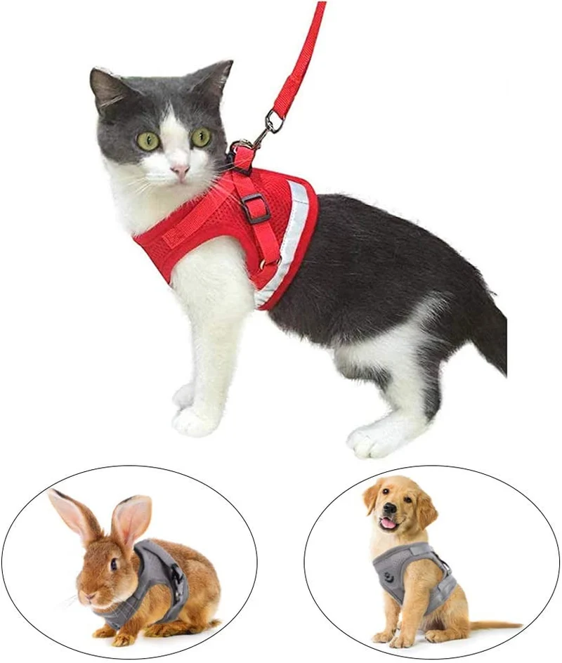 Arnés y correa para gato a prueba de fugas para caminar, chaleco ajustable de malla suave con correa para gatito, cachorro, conejo