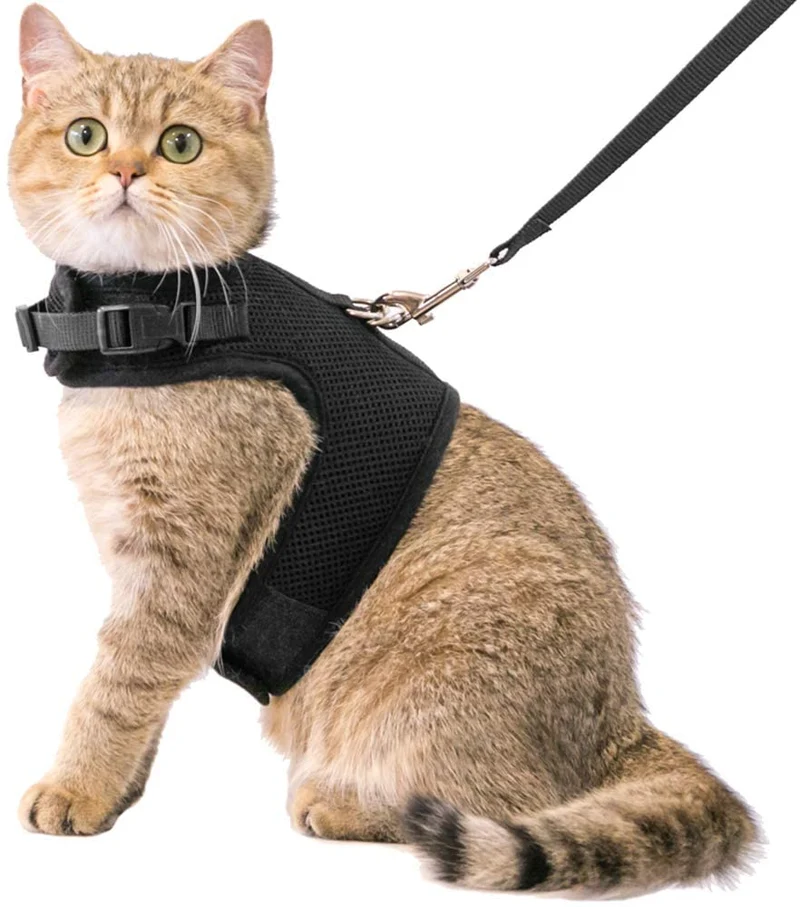 Cherpet arnés y correa para gatos, a prueba de escape, correas de 4.9 ft, fácil para caminar al aire libre, chaleco transpirable de malla suave, color negro, ajuste cómodo para animales pequeños