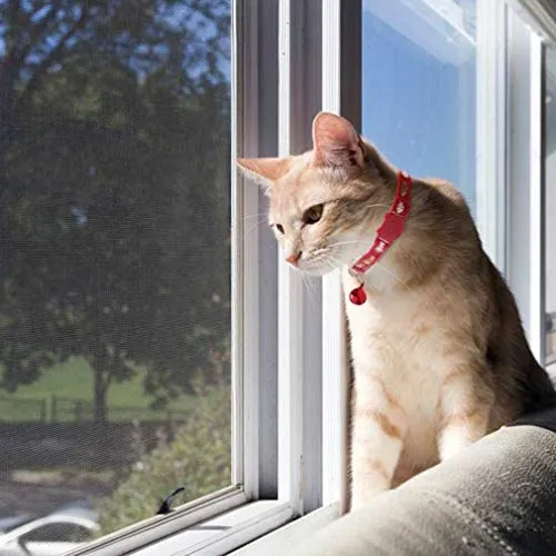 SCENEREAL - Collar de gato con campana, 6 unidades, de nailon con estampado a la moda, collar ajustable de seguridad con campanas de colores extraíbles para gatos, cachorros