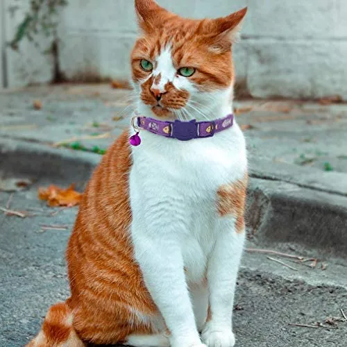 SCENEREAL - Collar de gato con campana, 6 unidades, de nailon con estampado a la moda, collar ajustable de seguridad con campanas de colores extraíbles para gatos, cachorros