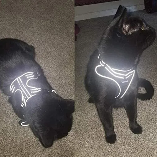 SCIROKKO Arnés y correa para gatos – Arnés ajustable a prueba de escape para cachorro para exteriores con correa reflectante 3M, malla suave con clip de metal chaqueta caminante para gatito conejo
