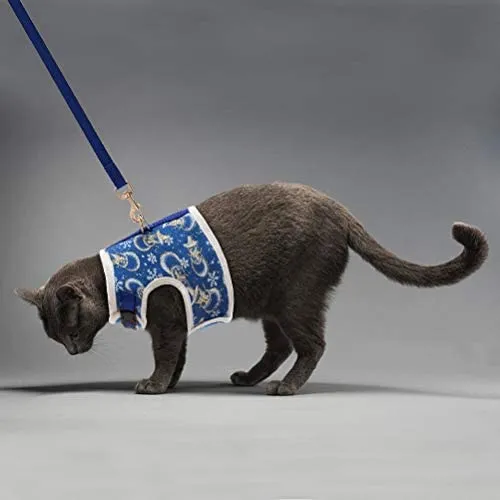 Arnés y correa para gato Bingpet para caminar, arnés ajustable a prueba de escape, arnés de chaleco suave para gatos medianos y grandes
