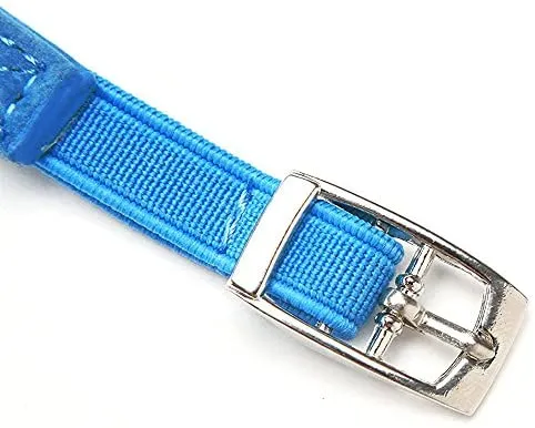 KOOLTAIL Heart Bling Cat Collar with Safety Belt and Bell 8-11 Inches