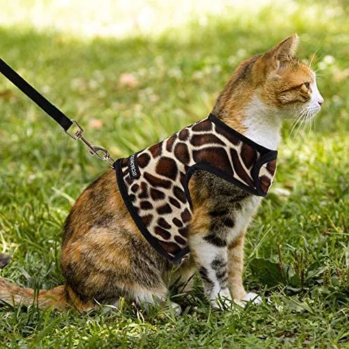 SCIROKKO - Arnés y correa para gato, a prueba de escape, ajustable, para caminar al aire libre, chaqueta con hebilla de seguridad, estampado de leopardo