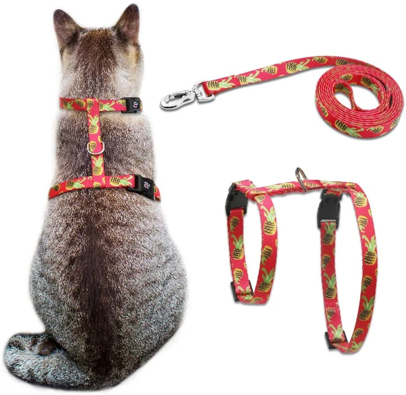 Azuza Arnés y Correa para gato para caminar, a prueba de escape, lindas piñas en color brillante, suave y ajustable arnés para gatos