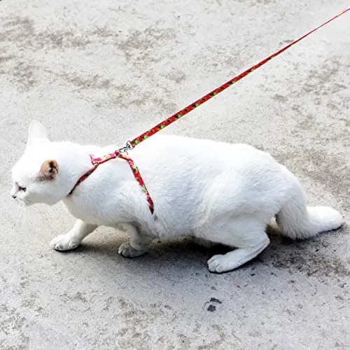 Azuza Arnés y Correa para gato para caminar, a prueba de escape, lindas piñas en color brillante, suave y ajustable arnés para gatos