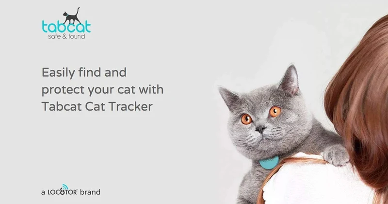 TabCat - Sistema de rastreo de collar para gato, incluye 2 etiquetas