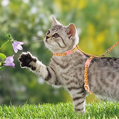 SCIROKKO - Arnés para gato con correa, lindo tejido con patrón de girasol, a prueba de escapes y ajustable para caminar