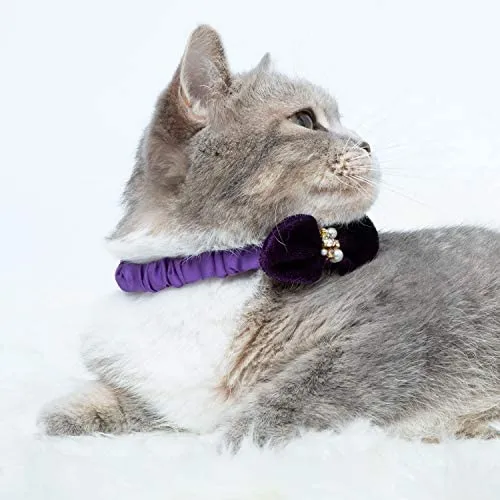Blueberry Pet - Collares de seguridad para gato con opción personalizada, 2 unidades