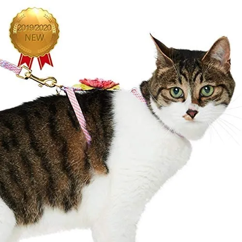 Blueberry Pet - Collares de seguridad para gato con opción personalizada, 2 unidades