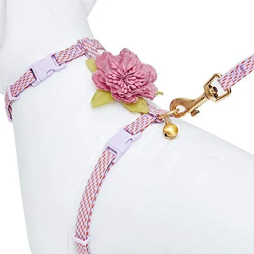 Blueberry Pet - Collares de seguridad para gato con opción personalizada, 2 unidades