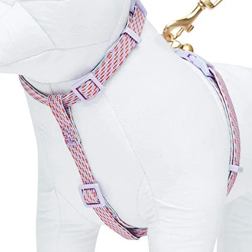 Blueberry Pet - Collares de seguridad para gato con opción personalizada, 2 unidades