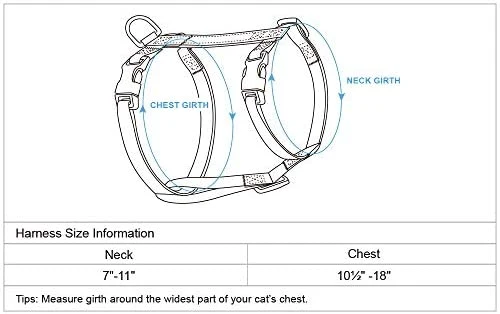 Blueberry Pet - Collares de seguridad para gato con opción personalizada, 2 unidades