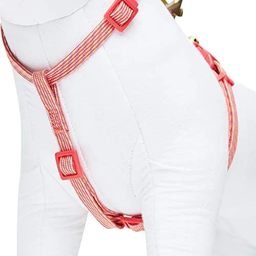 Blueberry Pet - Collares de seguridad para gato con opción personalizada, 2 unidades