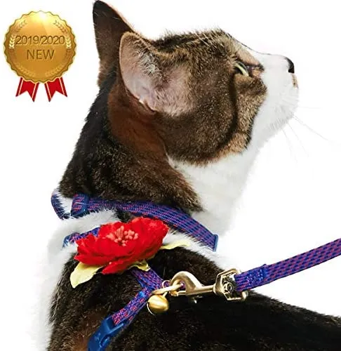 Blueberry Pet - Collares de seguridad para gato con opción personalizada, 2 unidades
