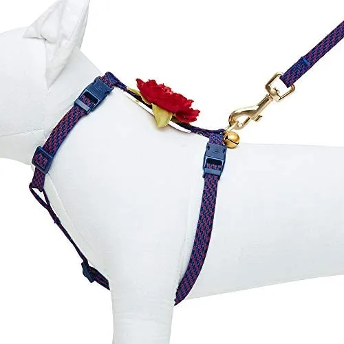 Blueberry Pet - Collares de seguridad para gato con opción personalizada, 2 unidades