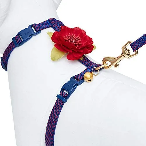 Blueberry Pet - Collares de seguridad para gato con opción personalizada, 2 unidades
