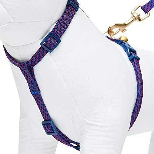 Blueberry Pet - Collares de seguridad para gato con opción personalizada, 2 unidades