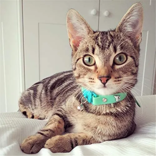 Collar de gato de Kittyrama. Ganador del premio. Como se ve en British Vogue. Otros estilos y colores disponibles. Para gatos adultos.