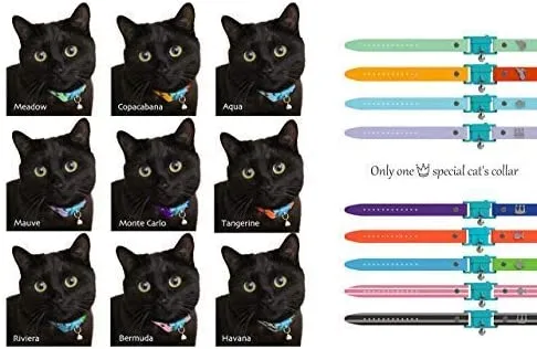 Collar de gato de Kittyrama. Ganador del premio. Como se ve en British Vogue. Otros estilos y colores disponibles. Para gatos adultos.