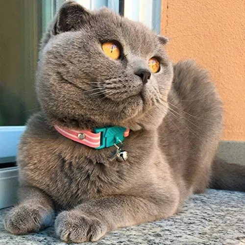Collar de gato de Kittyrama. Ganador del premio. Como se ve en British Vogue. Otros estilos y colores disponibles. Para gatos adultos.