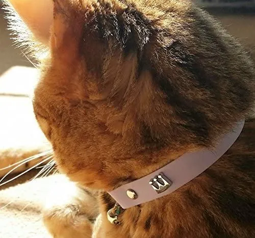 Collar de gato de Kittyrama. Ganador del premio. Como se ve en British Vogue. Otros estilos y colores disponibles. Para gatos adultos.