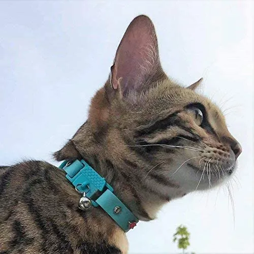 Collar de gato de Kittyrama. Ganador del premio. Como se ve en British Vogue. Otros estilos y colores disponibles. Para gatos adultos.