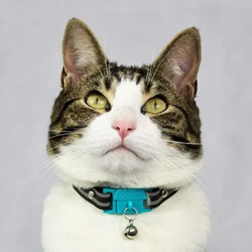 Collar de gato de Kittyrama. Ganador del premio. Como se ve en British Vogue. Otros estilos y colores disponibles. Para gatos adultos.