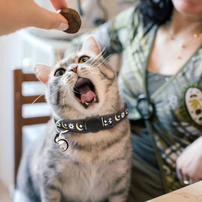 3PCS Breakaway Cat Collars with Bell Golden Moon Glowing Sun and Star in The Dark for Kitten with Pendant