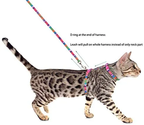 PUPTECK - Arnés para gato con correa, correa suave ajustable con diseño de moda