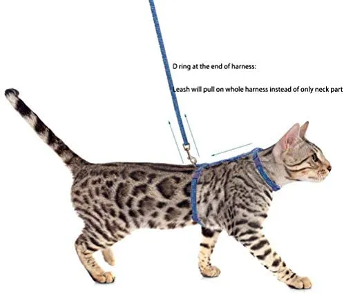 PUPTECK - Arnés para gato con correa, correa suave ajustable con diseño de moda