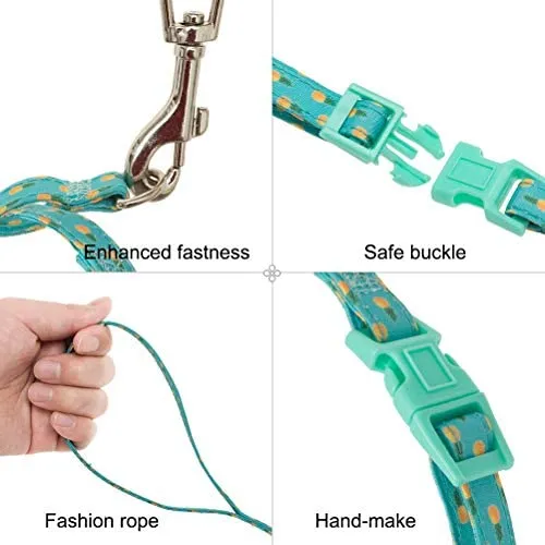 PUPTECK - Arnés para gato con correa, correa suave ajustable con diseño de moda