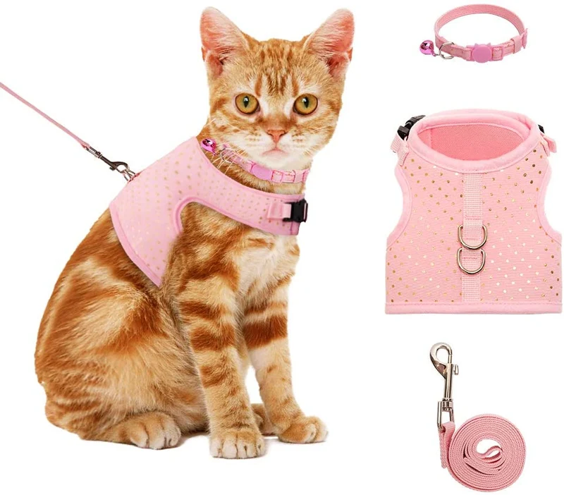 BINGPET Arnés para gato con correa y cuello para caminar, a prueba de escape, con correa de 59 pulgadas – Arneses de chaleco suave ajustable para gatos de tamaño mediano grande