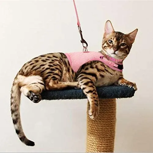 BINGPET Arnés para gato con correa y cuello para caminar, a prueba de escape, con correa de 59 pulgadas – Arneses de chaleco suave ajustable para gatos de tamaño mediano grande