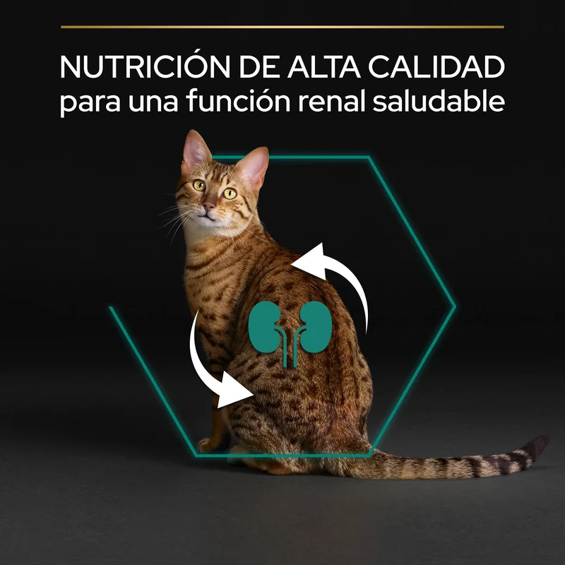 Pro Plan Cat Adult Renal+ Pollo 3 kg