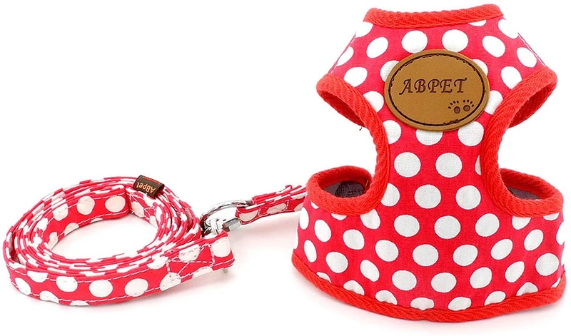 SMALLLEE_Lucky_Store - Conjunto de arnés de malla suave de nailon para mascotas, gatos