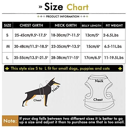 SMALLLEE_Lucky_Store - Conjunto de arnés de malla suave de nailon para mascotas, gatos