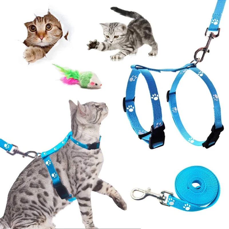 GABraden Arnés y correa para gato con collar de rotura – a prueba de escape, ajustable para caminar al aire libre, hebilla de seguridad duradera de nailon azul