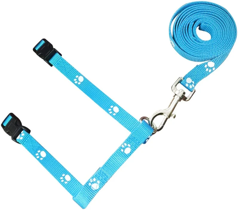 GABraden Arnés y correa para gato con collar de rotura – a prueba de escape, ajustable para caminar al aire libre, hebilla de seguridad duradera de nailon azul