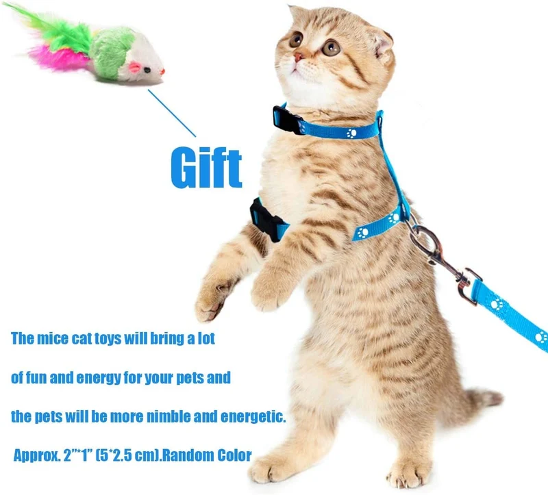 GABraden Arnés y correa para gato con collar de rotura – a prueba de escape, ajustable para caminar al aire libre, hebilla de seguridad duradera de nailon azul