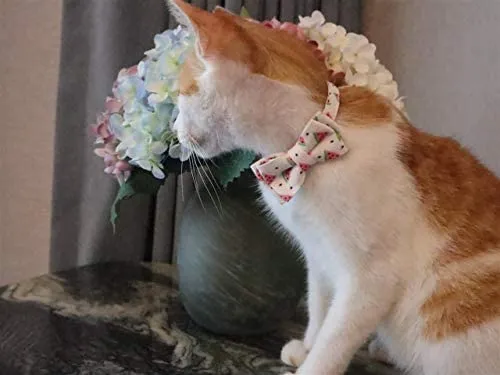 Gyapet Collar para gatos y mascotas Romper con timbre Bowtie Floral lazo desmontable ajustable de seguridad cachorro