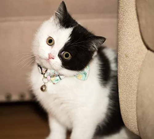 Gyapet Collar para gatos y mascotas Romper con timbre Bowtie Floral lazo desmontable ajustable de seguridad cachorro