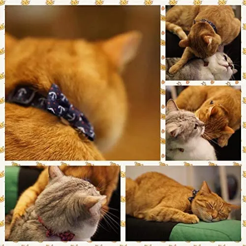 azuza Collar para gato con campana, collar ajustable para gato con pajarita, collares de seguridad para gatos, paquete de 2